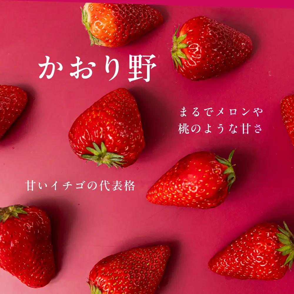 【先行予約】《2027年1月～発送》令和9年産 品種おまかせ いちご 紅ほっぺ かおり野 1kg (250g × 4p) サイズ 不揃い 農園直送 生食 ケーキ [mt2205]｜フルーツ 果物 苺 