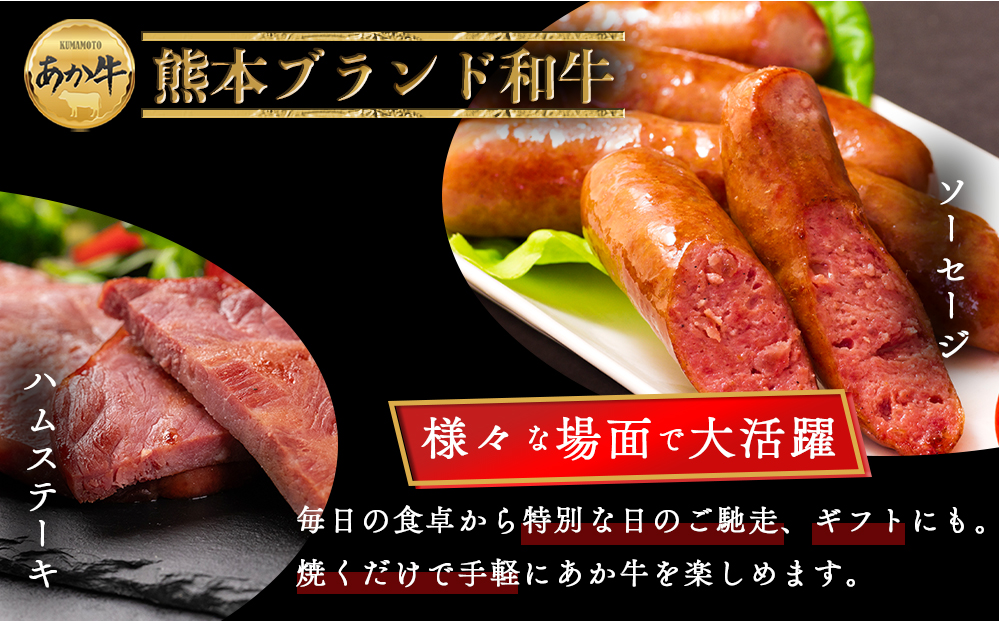 阿蘇あか牛 ハンバーグ＆ハム・ソーセージセット 阿蘇グリーンストック ペッパーフランクソーセージ あか牛ウインナー あか牛ブロック肉入りハムステーキ 冷凍 加工肉 肉 ふるさと納税 ウインナー 詰め合