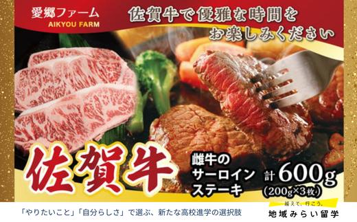 
                  【愛郷ファーム】佐賀牛 雌牛のサーロインステーキ 200g×3枚 合計600g
                