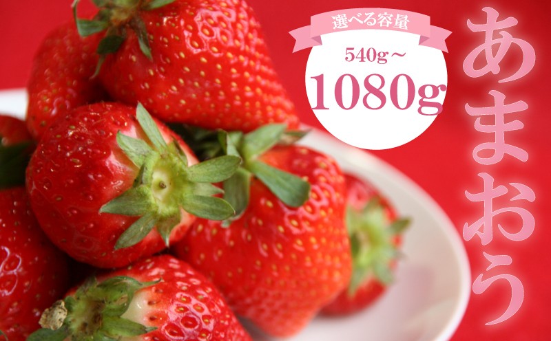 
                   【選べる発送月】 苺 あまおう 540g~1080g (270g×2~4P) いちご あまおう 福岡県産苺 いちご あまおう イチゴ 苺 あまおう 苺 数量限定 苺 いちご あまおう 福岡県産 苺 いちご あまおう いちご 苺 イチゴ 果物 くだもの フルーツイチゴ 苺 ichigo strawberry    国産
                