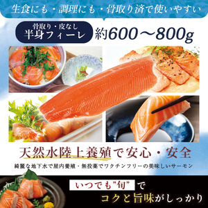 サーモン 富士頂純サーモン フィーレ 半身 骨なし 約600～800g 富士山麓のきれいな天然水で養殖された安心安全な サーモン 【完全無投薬 ワクチンフリー】 / サーモン 鮭 フィレ 骨なし 皮な