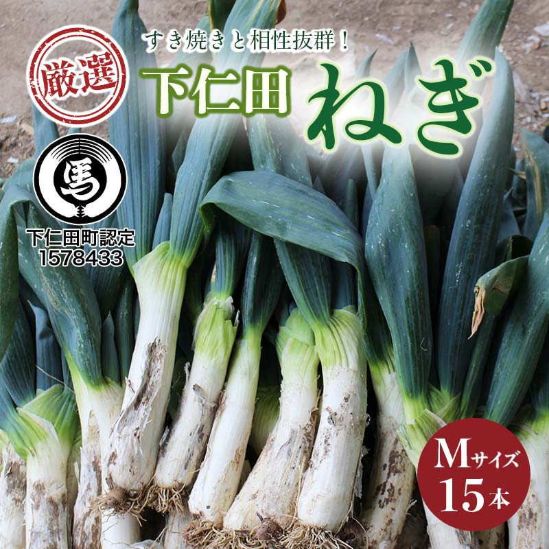 【ふるさと納税】厳選！下仁田葱（Mサイズ 15本） とろける 甘い ねぎ ネギ 王様ねぎ 特産 栄養たっぷり ブランド 上州ねぎ すきやき F21K-592