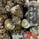 【ふるさと納税】南知多町産 活サザエ 約2kg (20個前後)【配送不可地域：離島・北海道・沖縄県・東北・中国・四国・九州】【1443107】