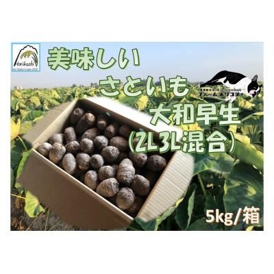 ふるさと納税 阿賀野市 阿賀野市産 さといも 「ファームホリコシ皮付き里芋」 サイズ混合 5kg