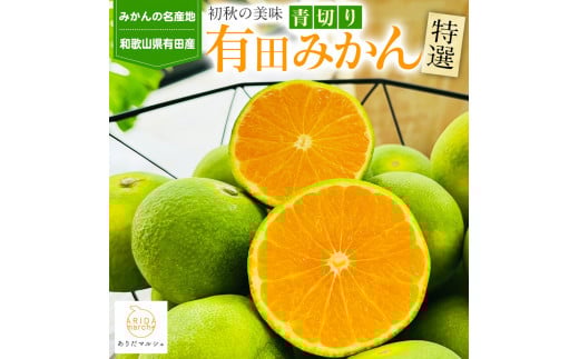 ［先行予約］特選 青切り有田みかん 2kg ［2026年9月中旬より発送］［MS20］