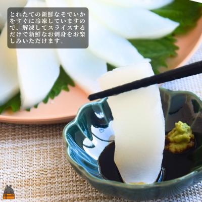 ふるさと納税 徳之島町 徳之島の漁師が荒波で釣り上げたそでいか 冷凍お刺身用小分け柵 1kg |  | 02