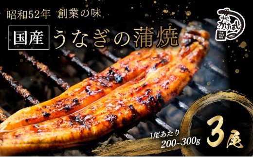 昭和52年創業の味 手焼き 国産 うなぎ 蒲焼き 3尾 1尾あたり 200～300g 国産 鰻 美味しい 職人仕上げ ふっくら肉厚 タレ付き 冷凍発送 ギフト 贈答用 お取り寄せ グルメ ご飯のお供 九州 福岡 老舗の味