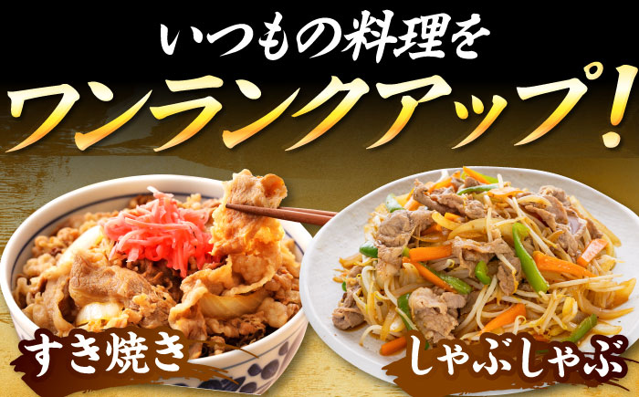 【訳あり】博多和牛 切り落とし 1.2kg(600g×2p) 吉富町/株式会社MEAT PLUS [BGAB055]