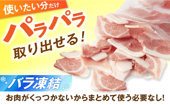 岐阜県産 豚肉 豚こま 豚コマ 豚小間 こま肉 大容量 薄切り スライス 国産 国産豚肉 無薬 無薬育ち 冷凍 豚肉 白川町