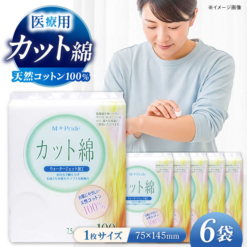 【ふるさと納税】コットン・ラボエムプライド医療脱脂綿（カット綿）100g×6袋／コットン 医療用 綿 内子町【ウィステリアコンサルティング株式会社】[BKBX003] 13000 13000円