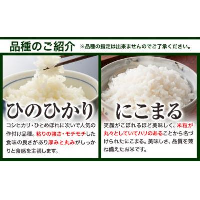 ふるさと納税 笠岡市 【令和8年7月発送】令和7年産 備中笠岡ふるさと米5kg |  | 02