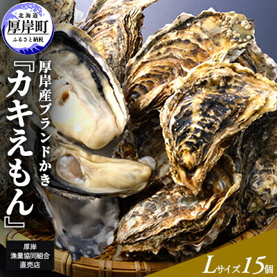 【ふるさと納税】厚岸産ブランドかき カキえもん Lサイズ 15個セット 北海道 牡蠣 カキ かき 生食 生食用 生牡蠣 魚介類 　お届け：2024年11月～2025年7月31日まで
