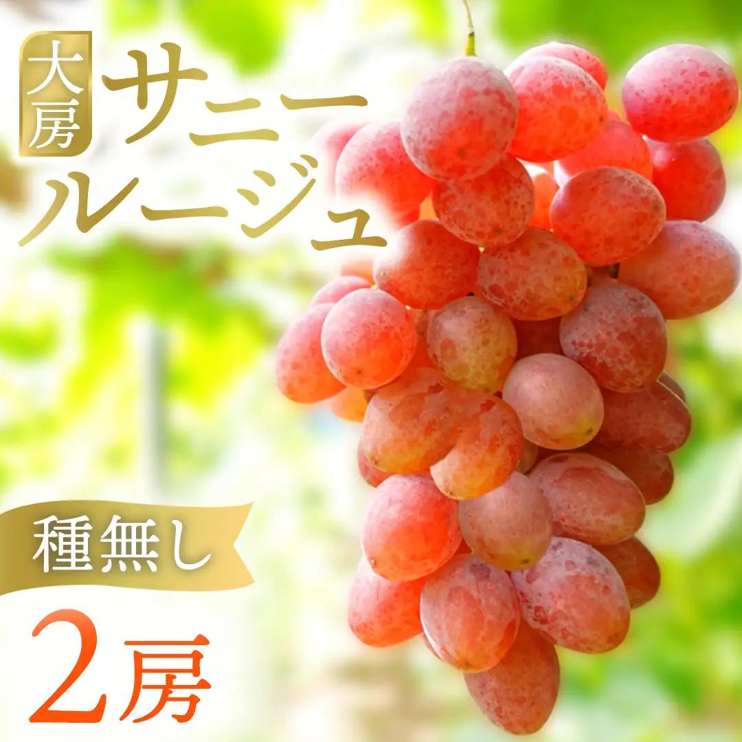 【ふるなびWEEK対象】ぶどう【2026年先行予約】サニールージュ 1kg AR031 ぶどう