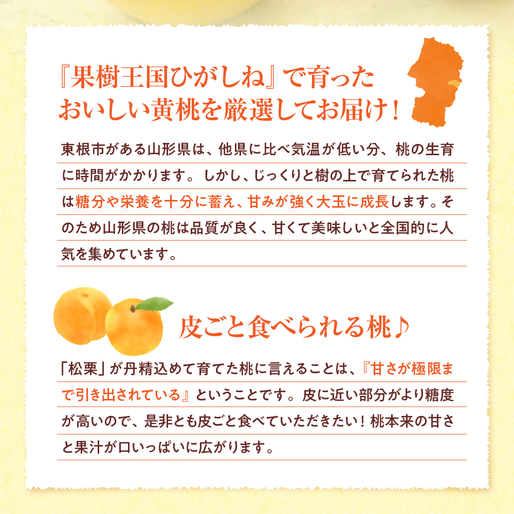 【2025年産　先行予約】真の果実 贈答用 黄桃2kg 山形県 東根市　hi004-hi062-025-2_イメージ2