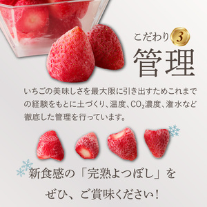 旬のおいしさそのまま！池田農園の特殊冷凍よつぼし1.5kg_いちご 特殊冷凍 よつぼし 1.5kg 750g × 2 旬 美味しい 完熟 甘い 濃厚 アートロックフリーザー サクサク 食感 栄養 池田