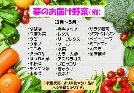 【6ヶ月定期便】 たっぷり 野菜セット B　10品 以上 　（P&Cリンク）