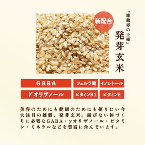 【 雑穀 】 パックごはん 120g×12個 黒美米 雑穀米