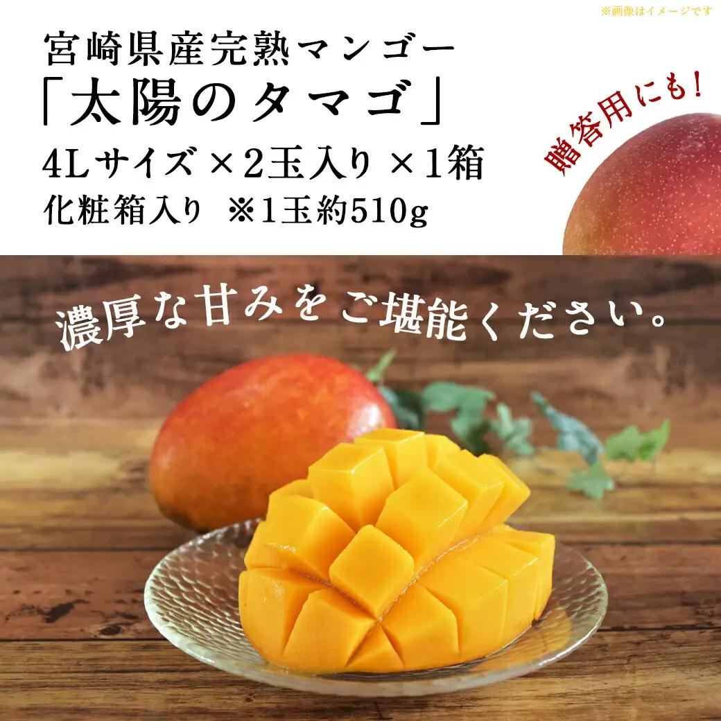 【先行受付!】宮崎県産完熟マンゴー 太陽のタマゴ【4L×2玉】化粧箱入り≪2026年5月中旬以降順次お届け≫〔41-0101〕_(都城市) 宮崎県産 太陽のタマゴ 化粧箱入 4L 2玉 1箱 15度以