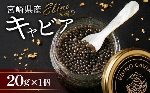 【ふるさと納税】キャビア 国産 20g 冷凍 宮崎県 えびの市産