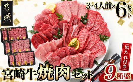 【数量限定】宮崎牛9種盛り焼肉セット(各600g×6P)_MC-3101_(都城市) 宮崎牛 ラムシン マルシン イチボ サーロイン ザブトン 肩ロース ショートリブ カルビ 内モモ ギフト 贈答用