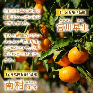 【2025年11月上旬から順次発送】温州みかん 5kg みかん 3月配送 柑橘 みかん 温州みかん 早生 わせ 南柑20号 みかん 数量限定 みかん 愛媛県産 みかん 松山市 みかん 中島 みかん 温