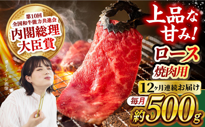 
            【月1回約500g×12回定期便】長崎和牛 ロース 焼肉用 計6kg 長崎県/長崎県農協直販 [42ZZAA166]  肉 牛 和牛 ロース 焼肉 焼き肉 西海市 長崎 九州 定期便
          