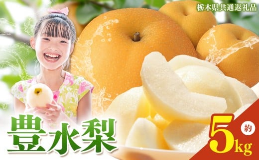 栃木県産 梨 豊水 5kg 【2026年先行予約】| ほうすい なし ナシ 完熟 果物 フルーツ プレゼント ご褒美 お取り寄せ 贈答 おいしい ジューシー 数量 限定 栃木県産 栃木県 真岡市 減農薬 送料無料