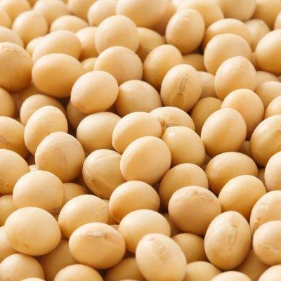 ふるさと納税 岡山市 岡山みそ　750g　6個入り |  | 03