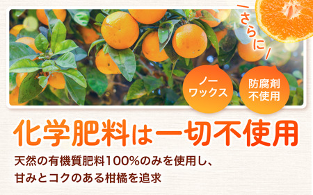 こだわりの 有田 みかん 2kg 【ご家庭用】 ※北海道・沖縄・離島配送不可 ※2027年1月発送予定【nuk004-c-2-janH】 
