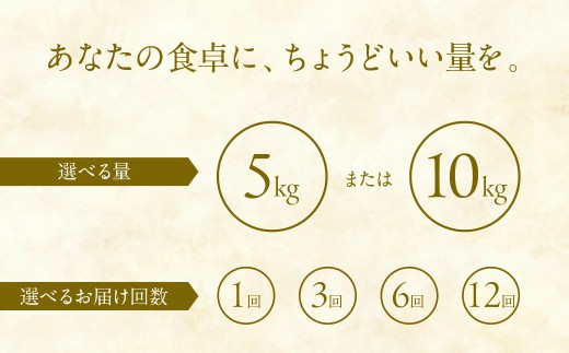 【定期便12回】令和8年産 郡上産こしひかり【 玄米】 5kg  こしひかり コシヒカリ 玄米 定期便 新米 コシヒカリ 5kg コシヒカリ 10kg 玄米 げんまい コシヒカリ こしひかり 新米 お