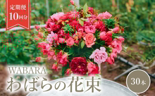 わばら花束30本定期便　１０回分　WABARA  摘みたて ブーケ 花束 Rose Universe