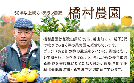【ふるなびWEEK対象】あら川の桃 約2kg (6~8玉)