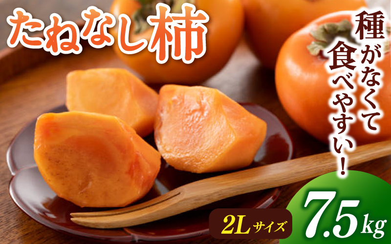 【先行予約】【JAわかやま】2Lサイズ たねなし柿 約7.5kg 【2025年9月下旬～10月下旬に順次発送致します。】 【jan002】