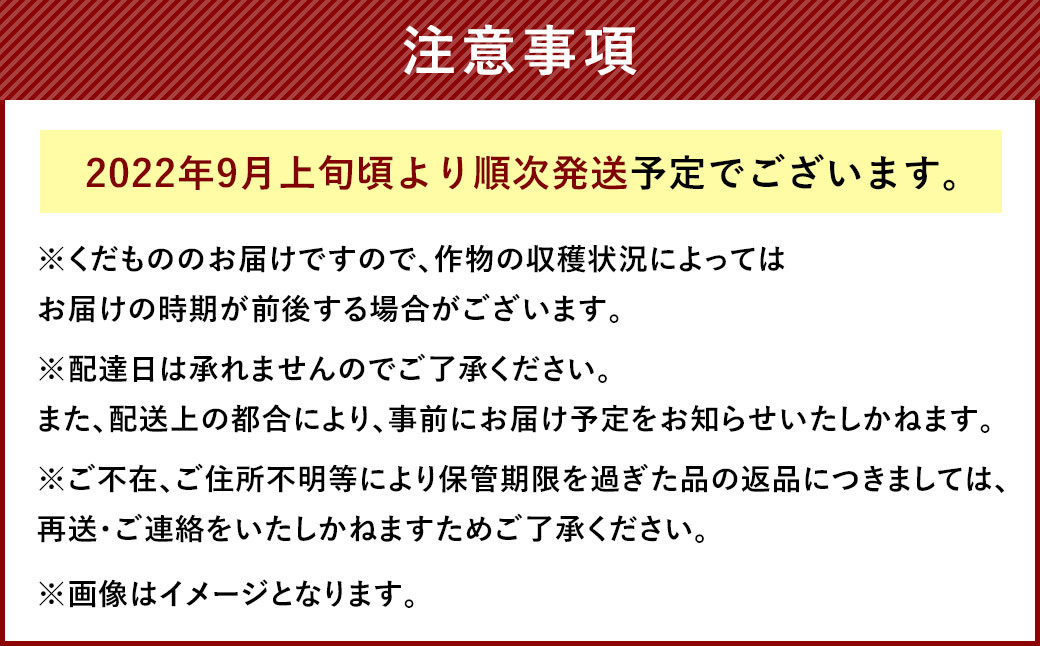 【2022年9月～11月上旬まで発送】 産地直送！福岡県オリジナル品種 極早生みかん『早味かん』 約5kg みかん