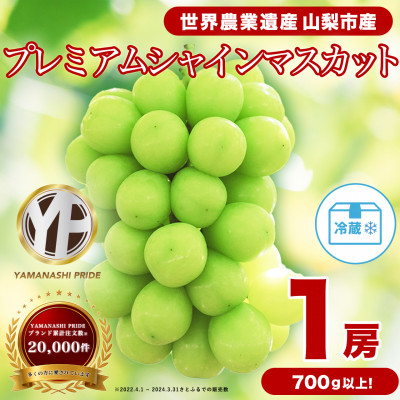 
フルーツ王国山梨産厳選 大房シャインマスカット 1房 (約700～800g)【1134568】
