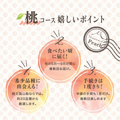 【発送月固定定期便】桃好きさん、集まれ～!個性ある3種のももが楽しめる全3回【配送不可地域：離島・沖縄県】