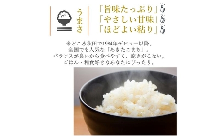 令和7年産 新米 食べ比べ セット 精米 白米 ひとめぼれ＆あきたこまち 各5kg 計10kg 秋田県 能代市産 お米 ブランド米