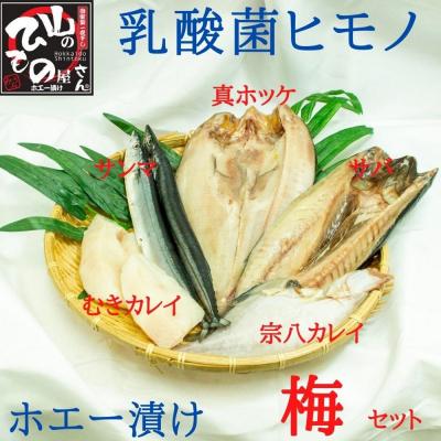 ふるさと納税 新得町 山のひものホエー漬け 梅セット H-1303