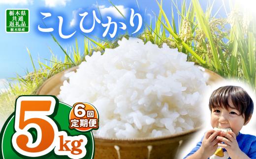 【栃木県共通返礼品】【令和7年度新米】栃木県産コシヒカリ 30kg |定期便 選べる ふるさと 納税 コシヒカリ お米 精米 白米 玄米 大粒 共通返礼品 送料無料 那珂川町 栃木県