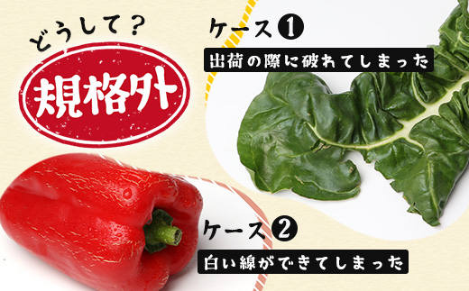 【規格外】本土最南端から 旬のおまかせ野菜セットA 10品目以上 NI-3 ｜ 旬 野菜 やさい 果物 くだもの 産地直送 農産物 冷蔵 鹿児島県 南大隅町産 詰合せ おまかせ 家庭用 訳あり なんたん市場