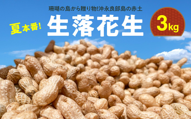 
                  ■夏本番！珊瑚の島から贈り物！沖永良部島の赤土 生落花生3kg！【7月後半～9月上旬】　W045-002u
                