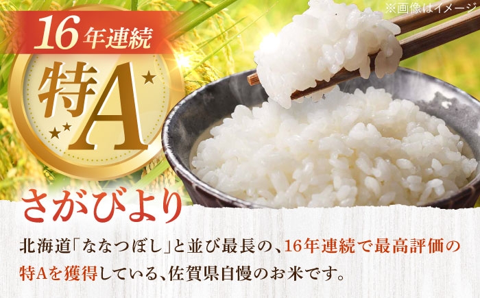 お米 米 おこめ こめ コメ 白米 精米 白ご飯 さがびより 佐賀県産 佐賀県産米