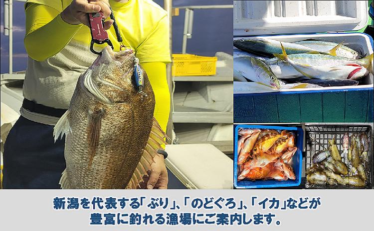 【海釣り体験】釣り船チケット　近海コース　（遊漁船「孝信丸」）