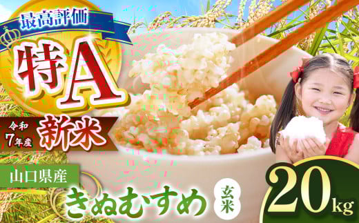 令和7年度産 新米 きぬむすめ 玄米 20kg 先行予約 ＜ 2025年9月中旬より順次発送予定 ＞ ｜ 米 精米 新米 玄米 米 雑穀 お米 コメ 単一米 きぬむすめ 絹娘  山口 美祢 秋吉台 20kg 