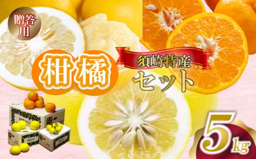 定期便 3回 限定30セット 須崎特産柑橘 贈答用 計 15kg 箱セット 各 5kg ポンカン 土佐文旦 小夏 ぽんかん 土佐 文旦 ぶんたん ブンタン 小夏 こなつ 時期人気 旬 柑橘 フルーツ 果物 高知 須崎 KJS11000