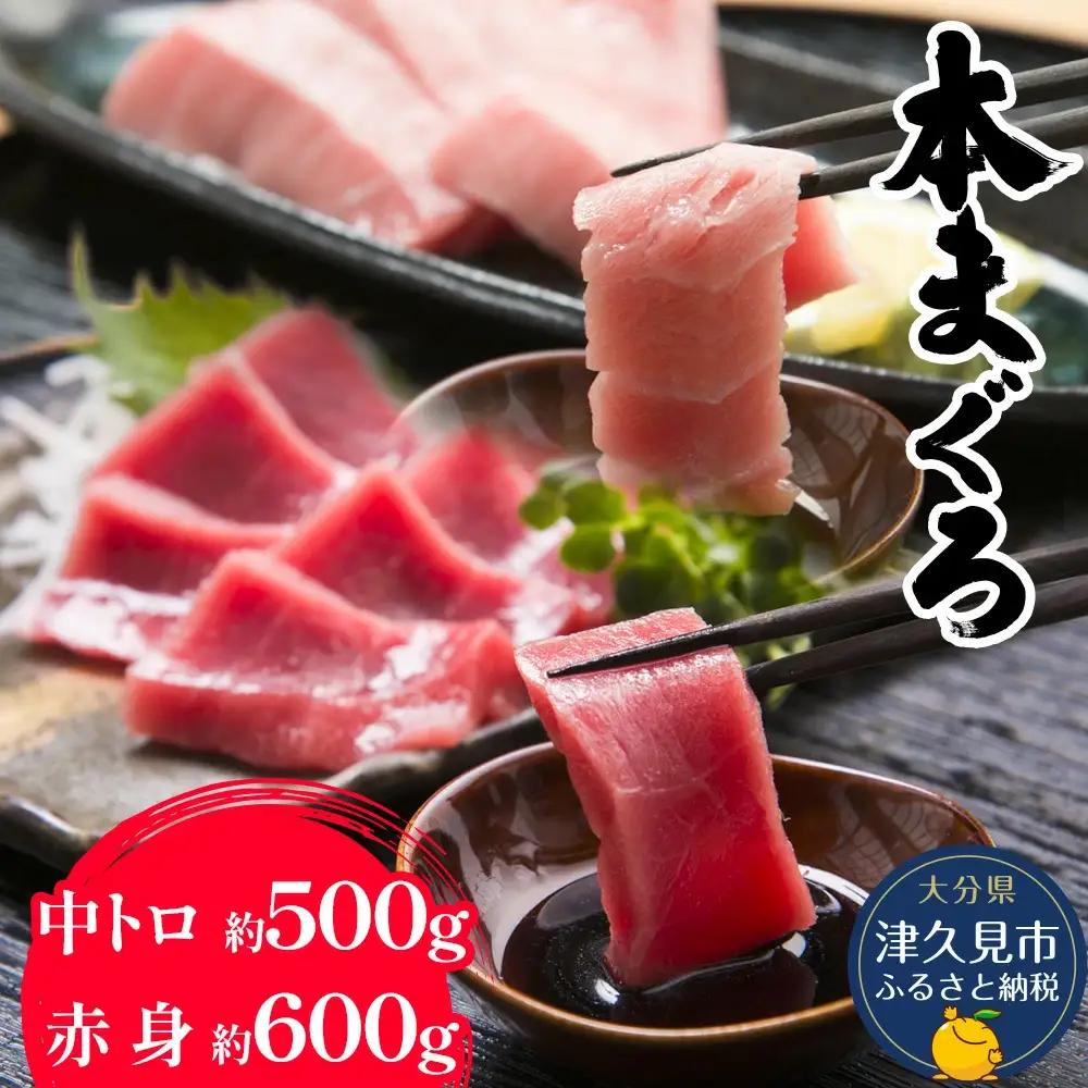 本マグロ 中トロ 赤身 セット | 本マグロ