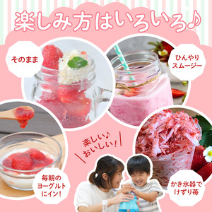 【2027年1月より順次発送】うるう農園の冷凍あまおう2kg_あまおう 2kg 冷凍 甘い 濃厚 新鮮 いちごの王様 うるう農園 いちご 果物 アレンジ おやつ フルーツ スイーツ スムージー ジャム