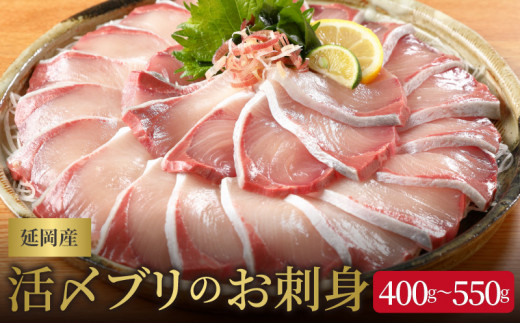 
【日向灘どれ】延岡産活〆ブリのお刺身　400g～550g　請関水産　N019-ZA044
