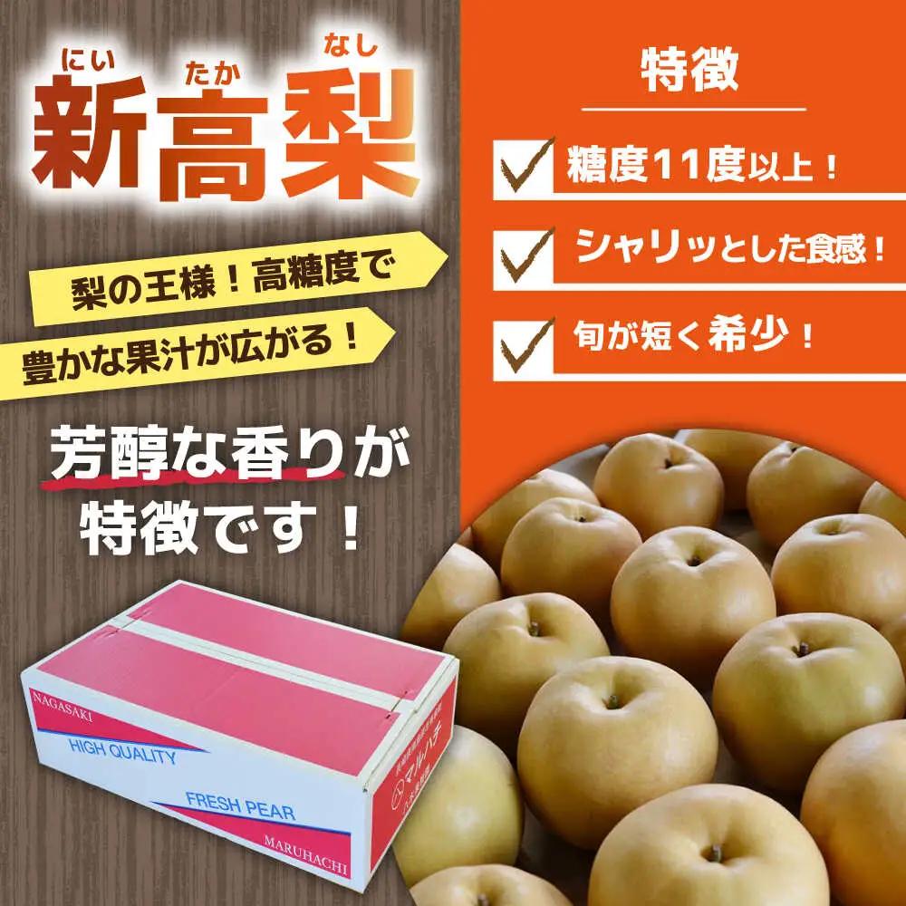【2026年9月中旬?発送】新高梨 5kg [SBA012] 梨