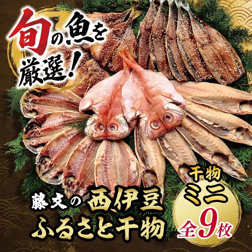 藤文の「西伊豆ふるさと干物ミニ」